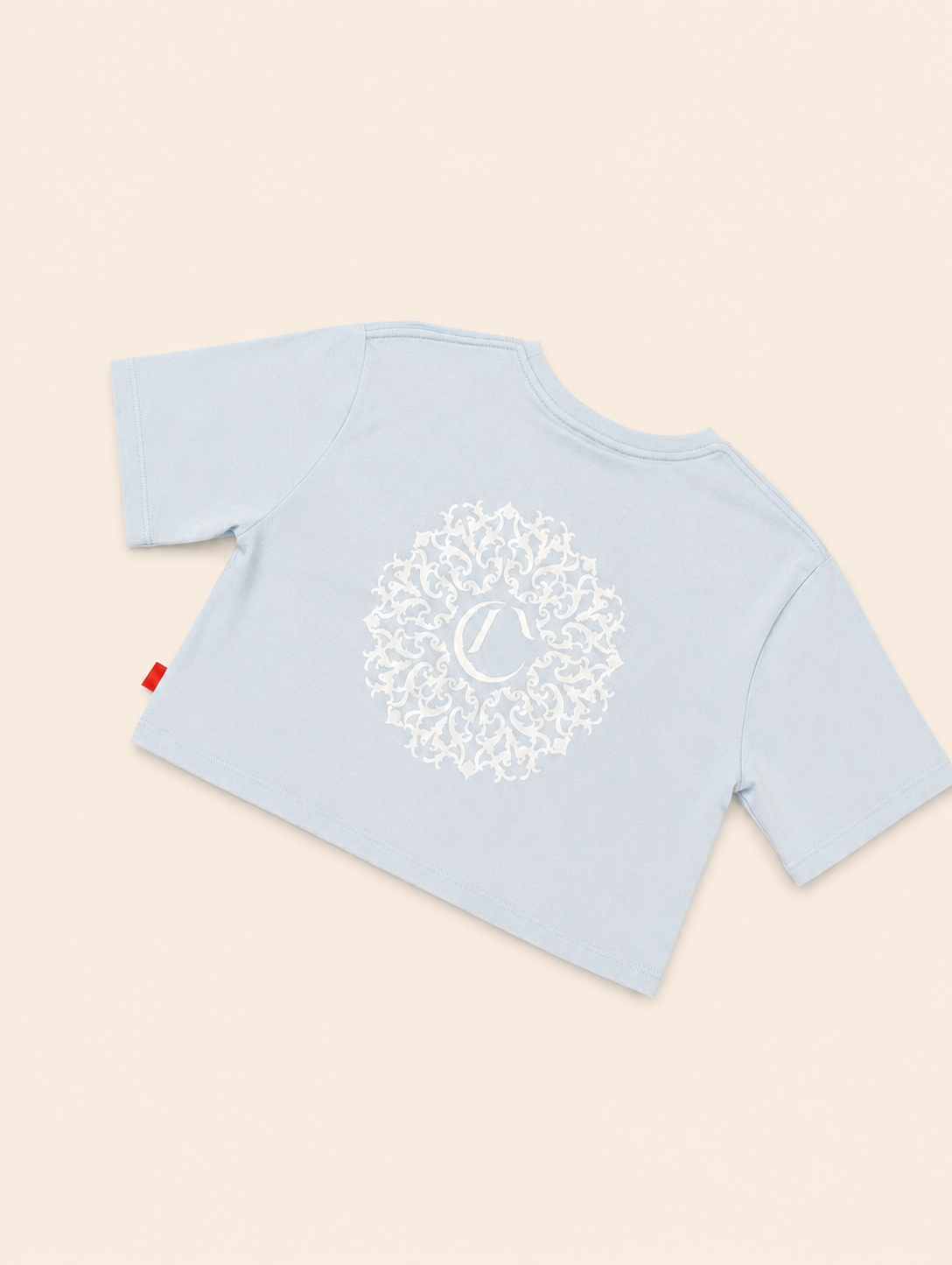 CAMISA CLEMONT AZUL C BLANCA