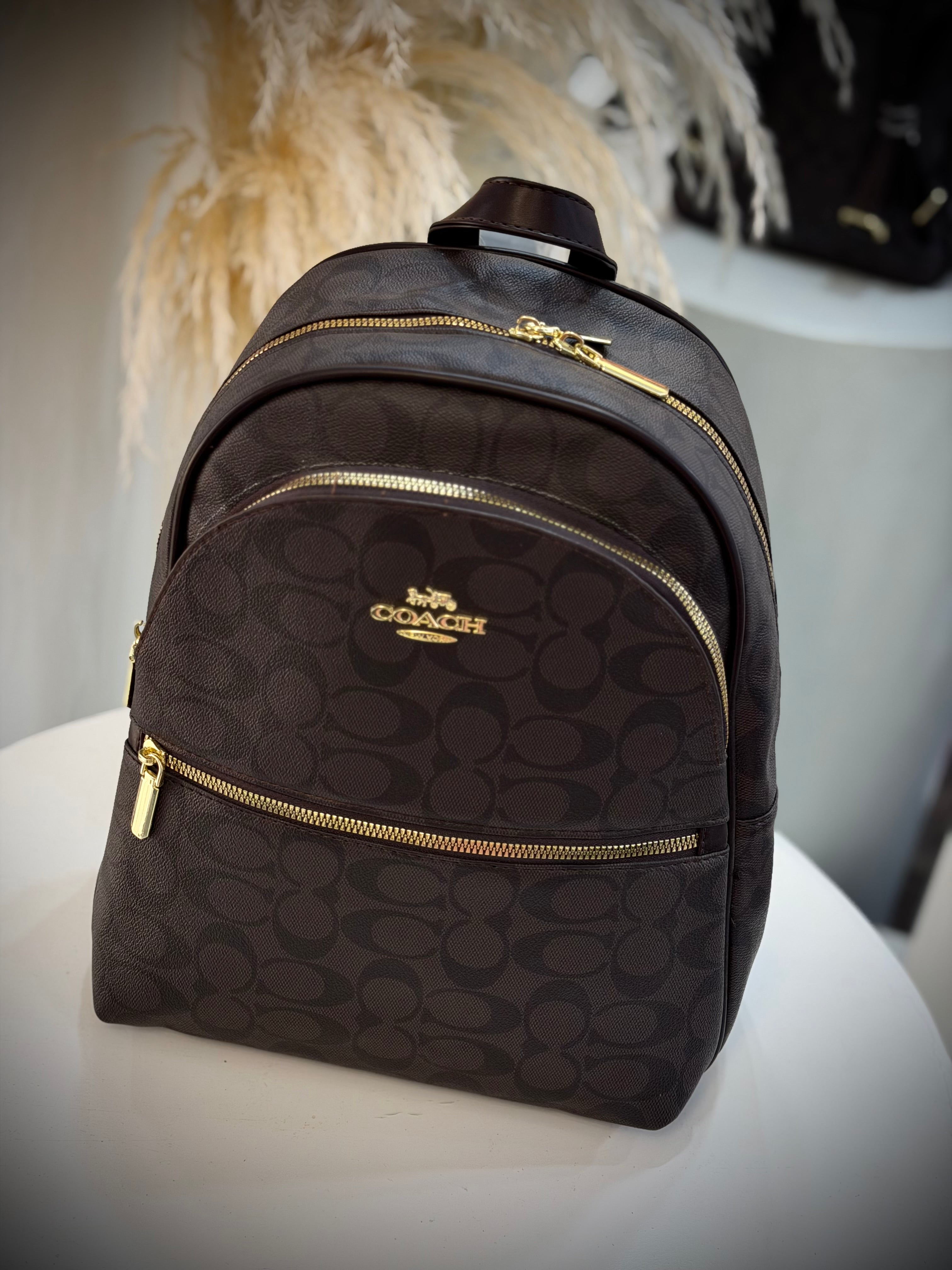 BOLSO COACH CAFE