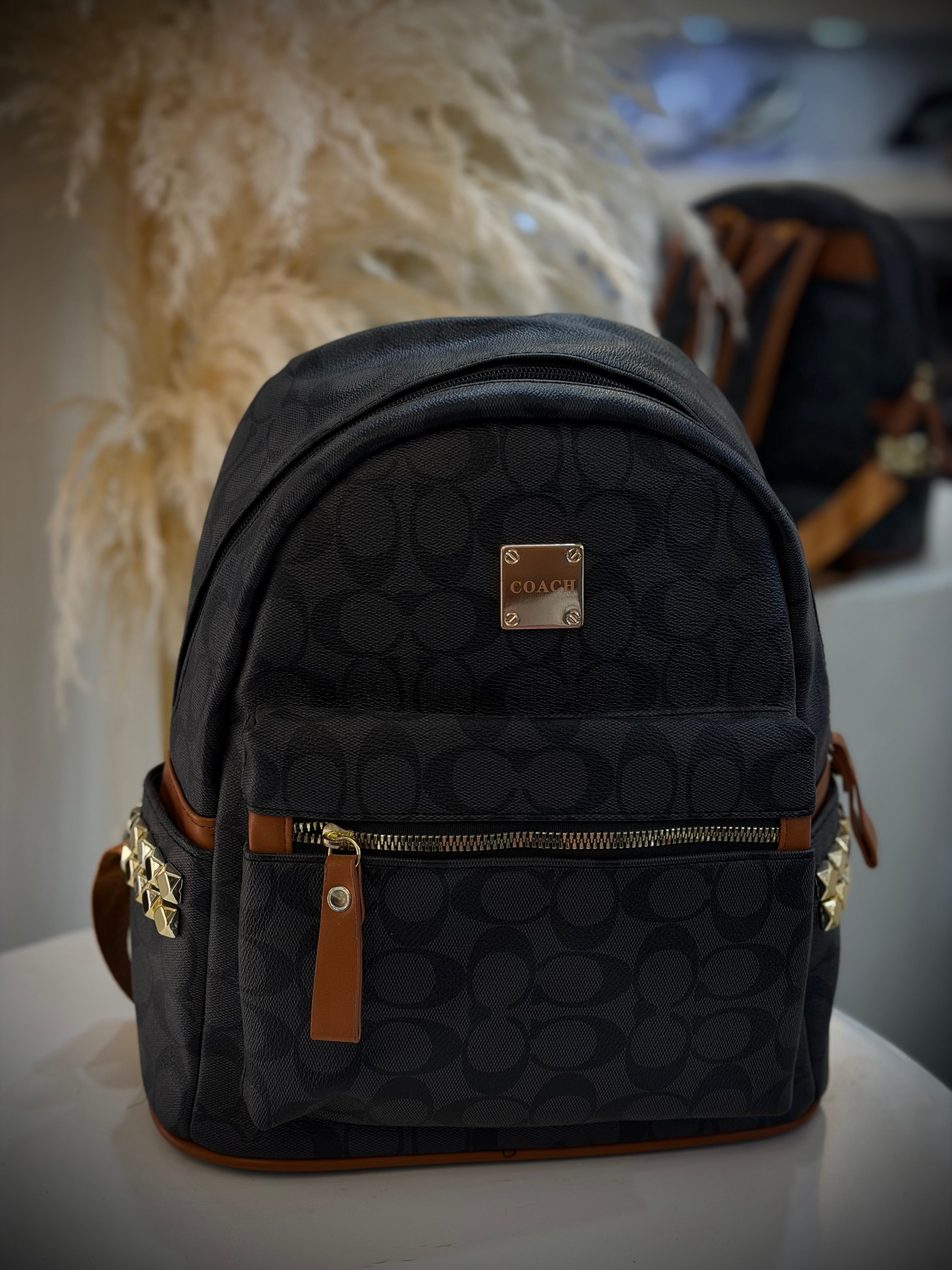 BOLSO COACH NEGRO